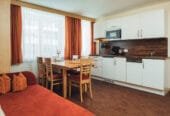 Luxury Apartment